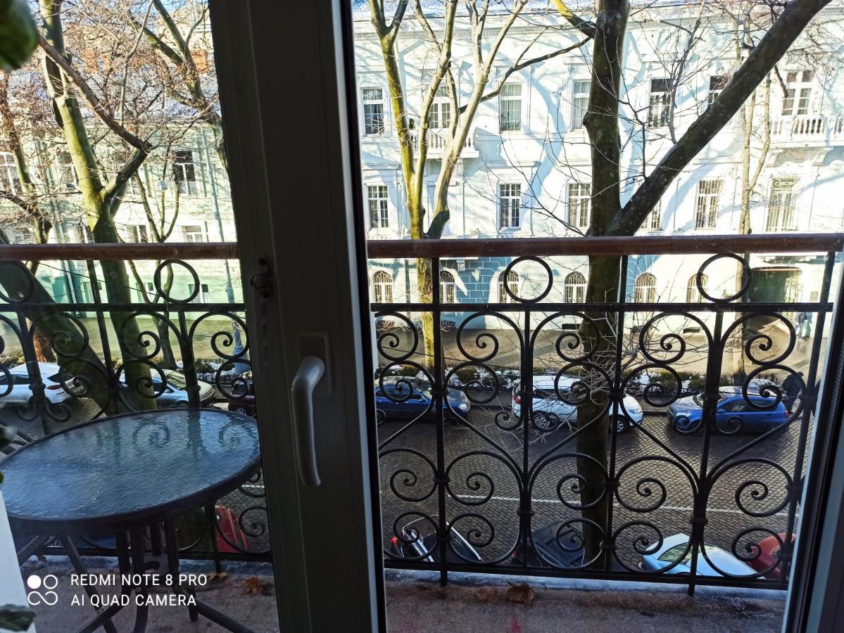 Comfort Near Opera Theater オデッサ エクステリア 写真